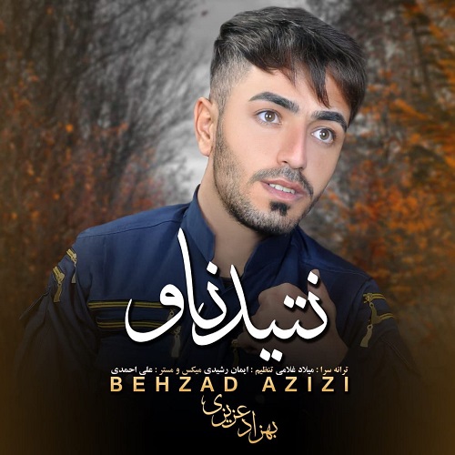 بهزاد عزیزی نتید ناو